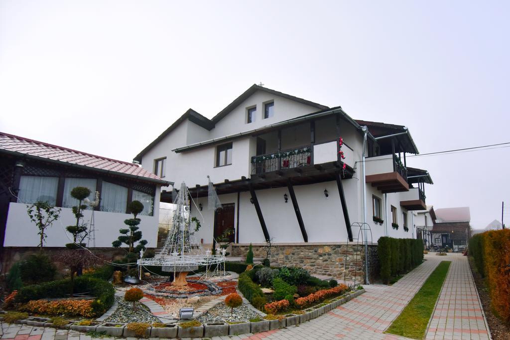 Pensiunea Casa Elena Agnita Εξωτερικό φωτογραφία